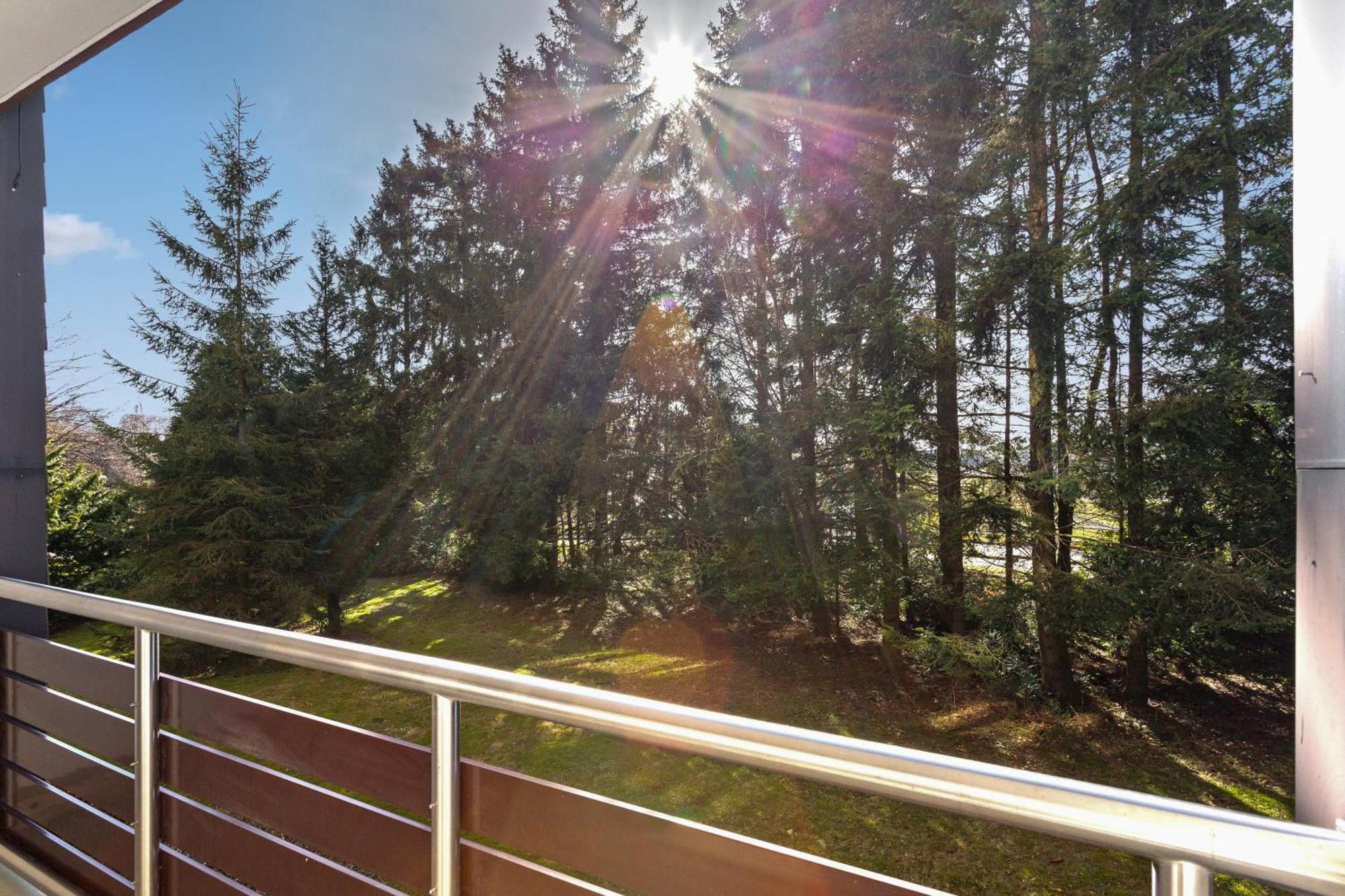 Appartamento Hillside Zentrale Lage Bikepark & Piste Winterberg Esterno foto